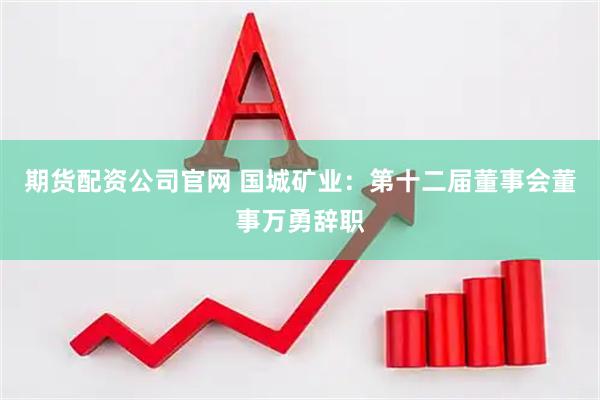 期货配资公司官网 国城矿业：第十二届董事会董事万勇辞职